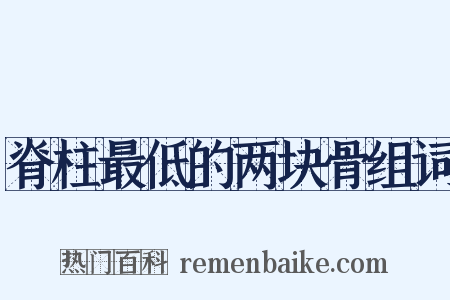 脊柱最低的两块骨组词是什么意思的图片